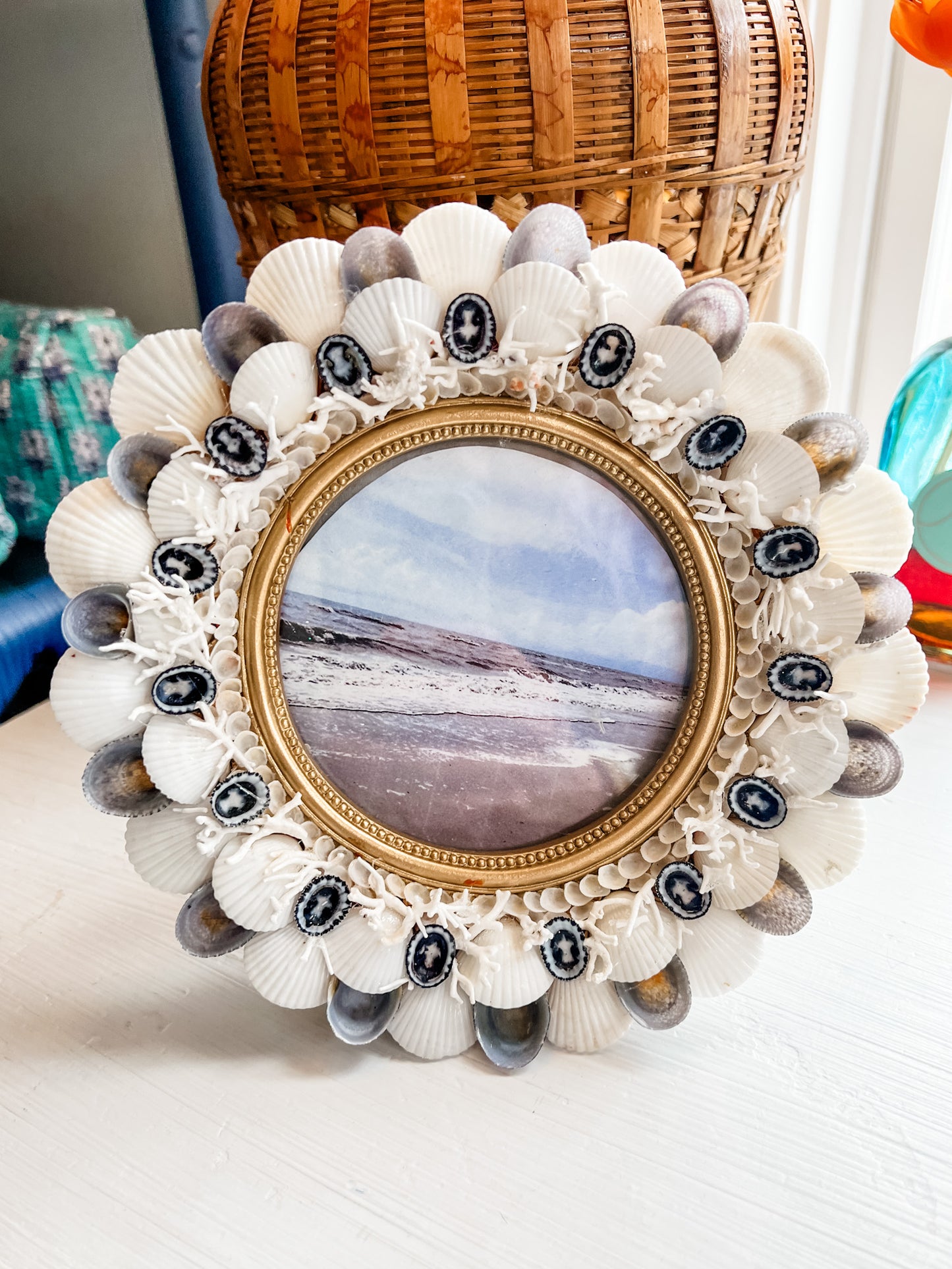 Seashell Frames by Designs by Kathryn Kelley Perkins - Coastal Brahmin
